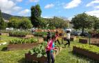 Huerto urbano comunitario de la Rochapea