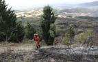 Fotos de los incendios en Navarra este lunes. Los bomberos trabajan en la extinción del incendio de la sierra del Perdón.