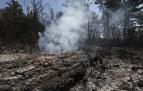 El tronco aún humeante de un pino es testigo en la cara sur de la sierra de El Perdón del drama que viven los bosques de la Zona Media con el fuego
