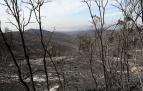 Fotos de los incendios en Navarra y sus efectos este martes. Vista de los daños causados por el fuego en la sierra de El Perdón y sus alrededores.
