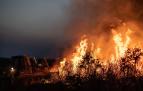 Incendio de Losacio (Zamora)