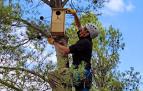 Imagen de la instalación de una de las cajas nido de Cascante.