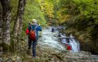 Fotos de los turistas en la selva de Irati en otoño 2022.