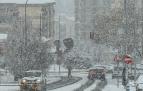Fotos de la nevada de este lunes en Tierra Estella