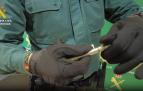 Boli pistola incautado por la Guardia Civil
