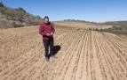 UN AGRICULTOR OBSERVA SUS CAMPOS DE CEREAL AGOSTADOS POR LA SEQUIA EN EL TREMINO DE URRUTIA (TRIGO)