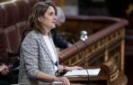 La vicepresidenta tercera, Teresa Ribera, interviene en una sesión plenaria extraordinaria en el Congreso de los Diputados, en Madrid