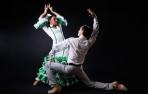 Bailaores de flamenco