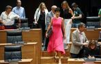 parlamento-elma-saiz