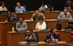 parlamento-chivite-psn-bildu