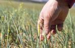 Agroindustria