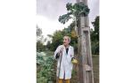 Alberto San Román Romarategi, hortelano de Alsasua, junto a la berza de más de dos metros