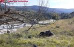 motorista navascues