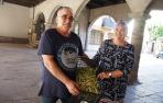 Santos Fernández Ripa y Matilde Lacasa Puyada, con pochas que se degustarán este domingo.
