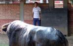 Hermoso de Mendoza visita al toro que indultó en Cali