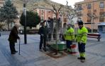 Lodosa quiere poner en marcha una brigada de jardinería