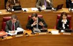 Miranda, Jim&eacute;nez y Barcina, en el Pleno