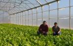 Una pareja de Lodosa pone en marcha un invernadero de 30.000 m2