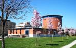 Fotos de la primavera enviadas por los lectores_2