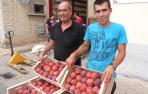 La primera feria del melocot&oacute;n de Sartaguda vende en un d&iacute;a 4.000 kg