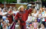El Defensor del Pueblo ve ilegales las exhibiciones de aves rapaces