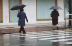 Las lluvias arropan a Navarra _10