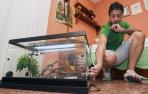 Una pit&oacute;n suelta por Zaragoza, "pesadilla" para su propietario