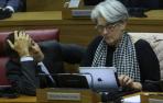 Sánchez de Muniáin y Goicoechea, en el Parlamento