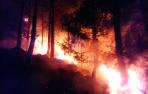 Dos hectáreas de pino y matorral afectadas por un incendio en Belascoain