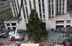 ​El árbol de Navidad del Rockefeller Center ya luce en NY