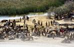 Alrededor de 300 extras se unen al rodaje de Juego de Tronos
