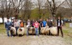La Feria de Primavera calibra en Elizondo el estado del ganado