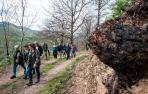 Recorrido por las laderas del monte Frain, calcinado en diciembre