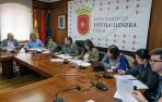 Laseme pide a los consistorios que luchen por la subestación de Dicastillo