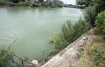 El Gobierno afirma que la limpieza en dos presas del Ebro en Tudela ha finalizado
