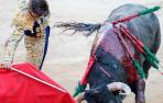 Deslucidos Miura para cerrar la Feria del Toro de San Fermín