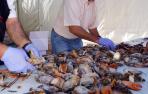 Comidas populares en Fustiñana