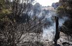 Incendio forestal en Javier