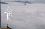 Las ventas de electricidad renovable de Navarra se desplomaron en 2014