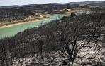Tres semanas después del mayor incendio de Navarra