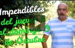 Agenda cultural de Navarra en vídeo hasta el domingo 9 de octubre