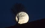 La superluna, en imágenes
