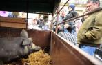 El animal recibió la visita de decenas de personas que se acercaron para ver cómo había crecido.