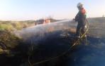 Los bomberos extinguen un incendio forestal en Andosilla