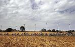 Las renovables permitieron a Navarra autoabastecerse de electricidad 104 días