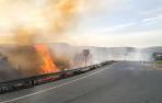 Llamas al borde de la carretera del acceso sur de Sangüesa en el incendio provocado el domingo 16 de abril.