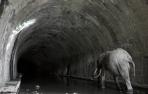 Txuspo Poyo honra a los obreros forzados de un túnel que la historia engulló