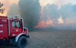 Detenido un tren en Tafalla por varios incendios entre Castejón y Marcilla