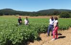 INTIA dispone de 11 fincas para experimentación hortofrutícola y de cereal