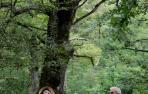 Perderse en un bosque milenario